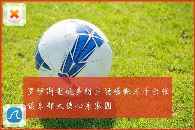 罗伊斯重返多特主场感慨万千出任俱乐部大使心系家园