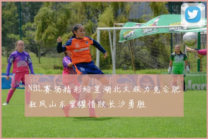 NBL赛场精彩纷呈湖北文旅力克合肥狂风山东蜜獾惜败长沙勇胜