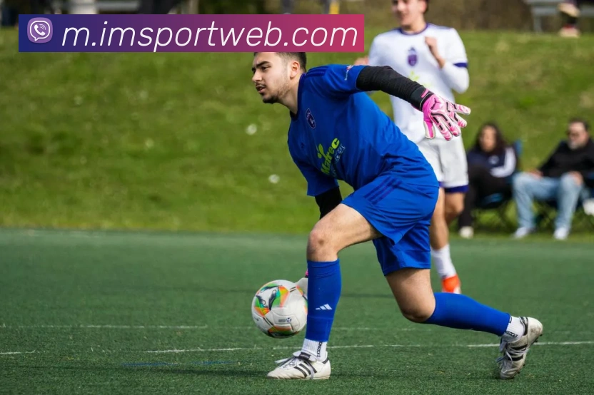 IM体育品牌故事