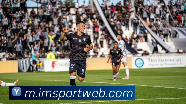 IM体育服务体系